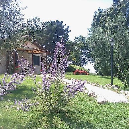Casale Dinelli Villa Tarquinia Rum bild