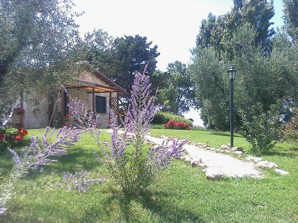 Casale Dinelli Villa Tarquinia Rum bild