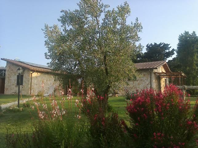 Casale Dinelli Villa Tarquinia Exteriör bild