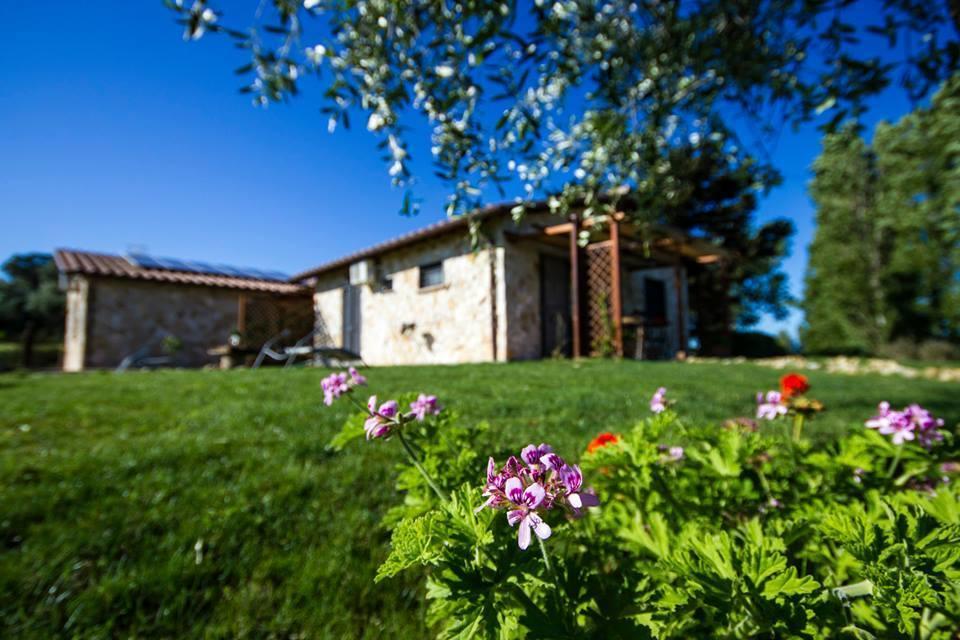 Casale Dinelli Villa Tarquinia Exteriör bild