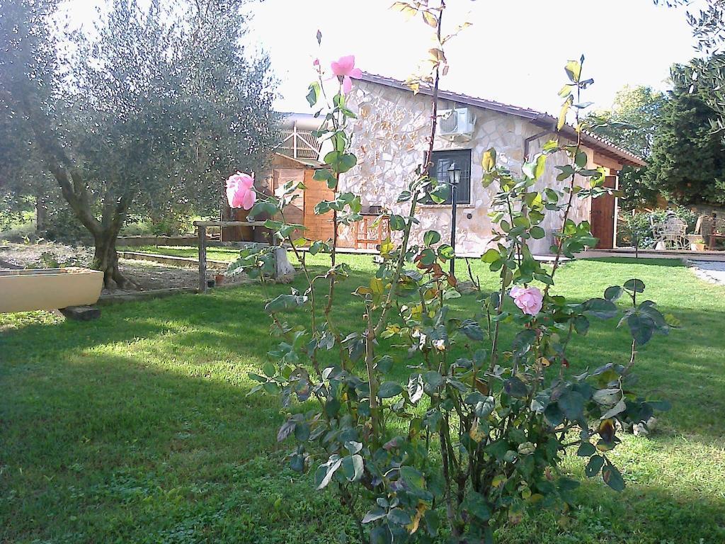 Casale Dinelli Villa Tarquinia Rum bild