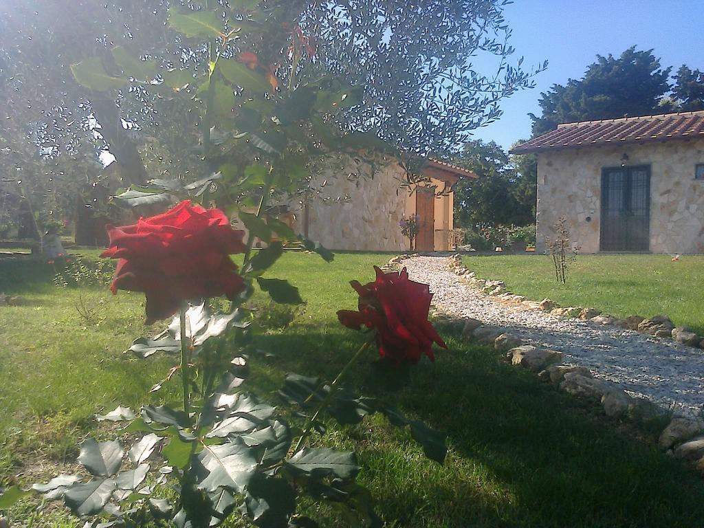 Casale Dinelli Villa Tarquinia Rum bild