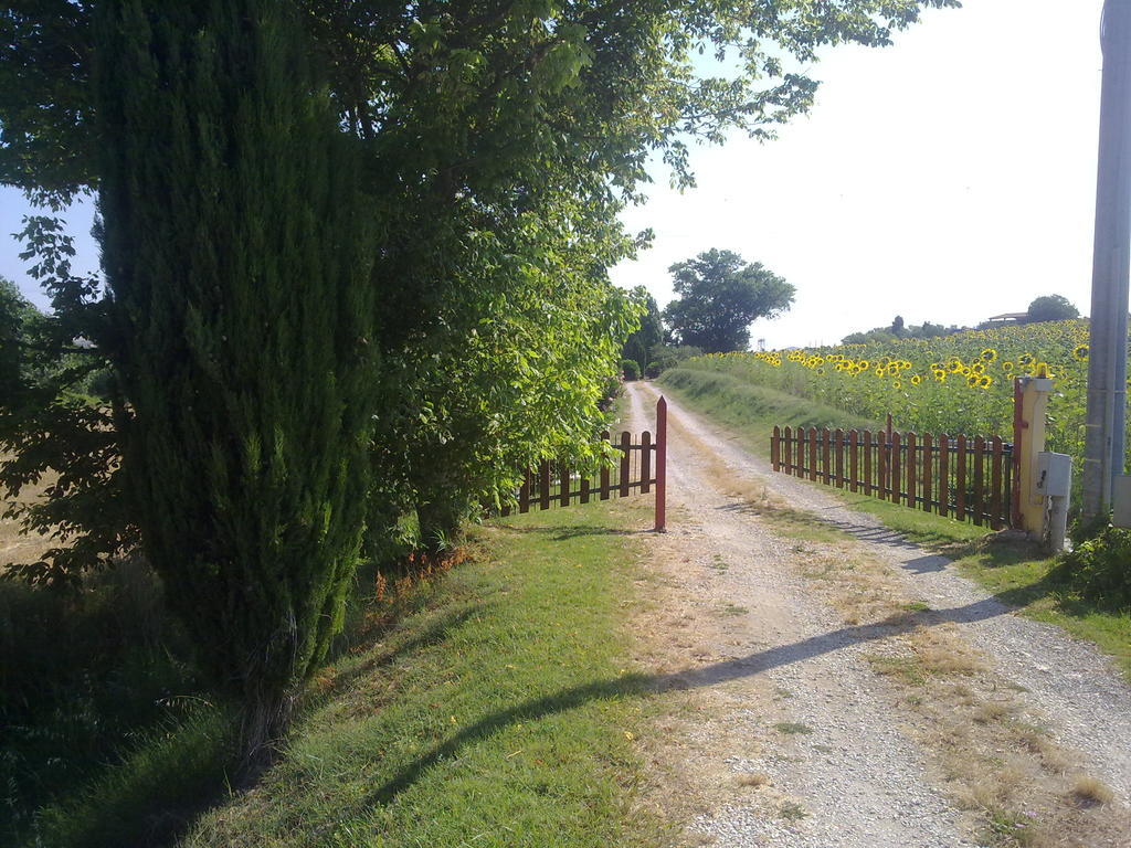 Casale Dinelli Villa Tarquinia Exteriör bild
