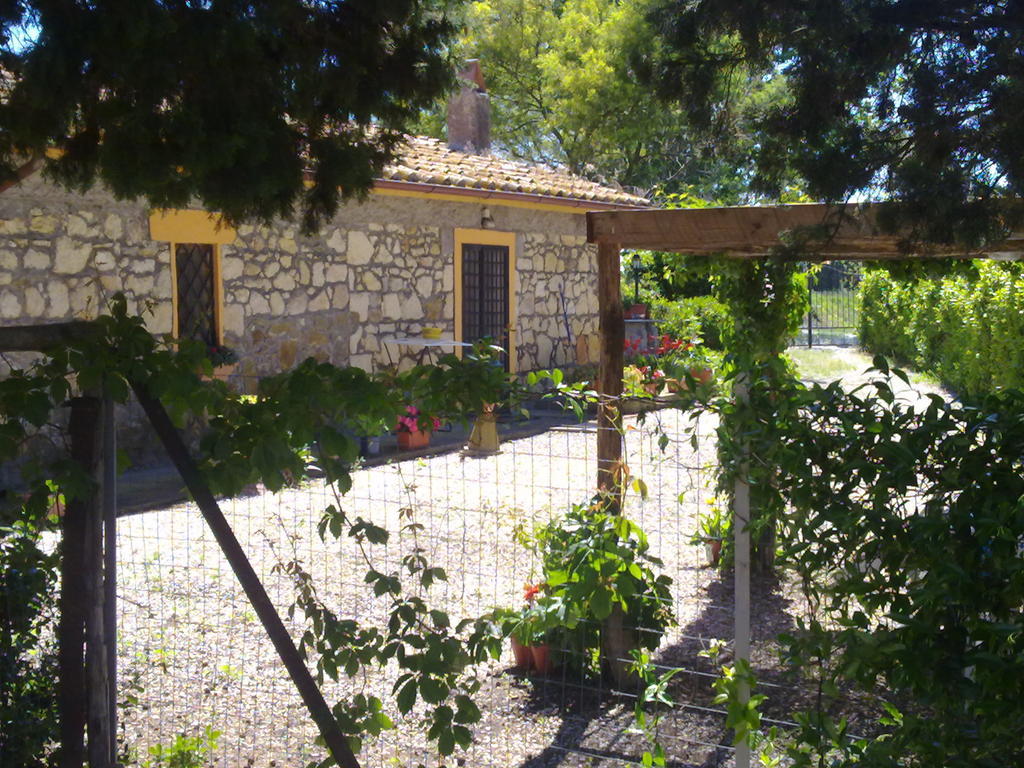 Casale Dinelli Villa Tarquinia Rum bild
