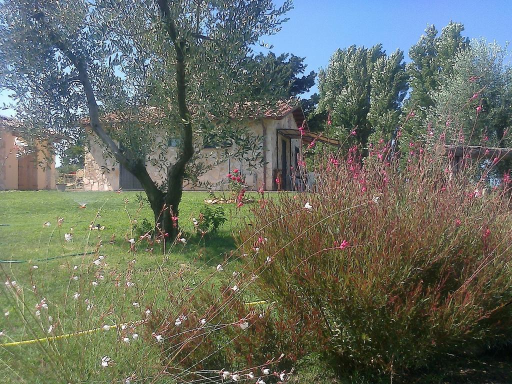 Casale Dinelli Villa Tarquinia Rum bild